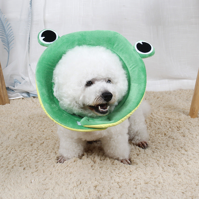 dog grooming tools and essentials