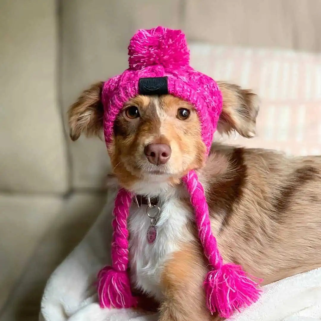 dog fashion accessories