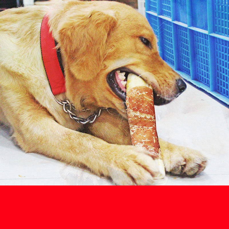 dog teeth cleaning bones