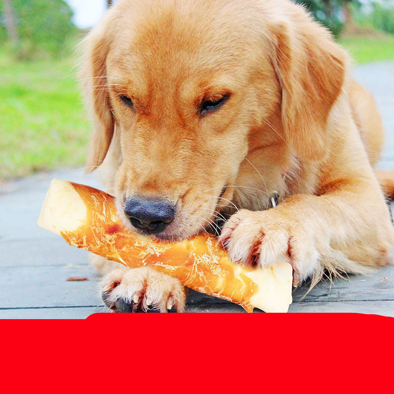 dog teeth cleaning bones