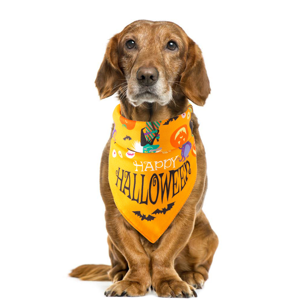 Halloween pet towel
