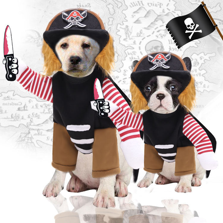 funny dog clothes horse riding outfit