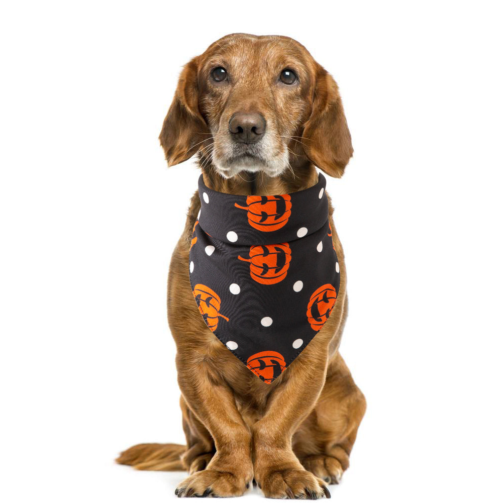 Halloween pet towel