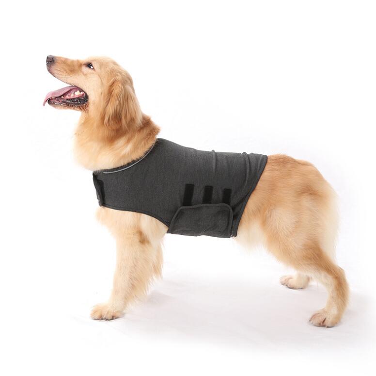 pet anxiety comfort clothing