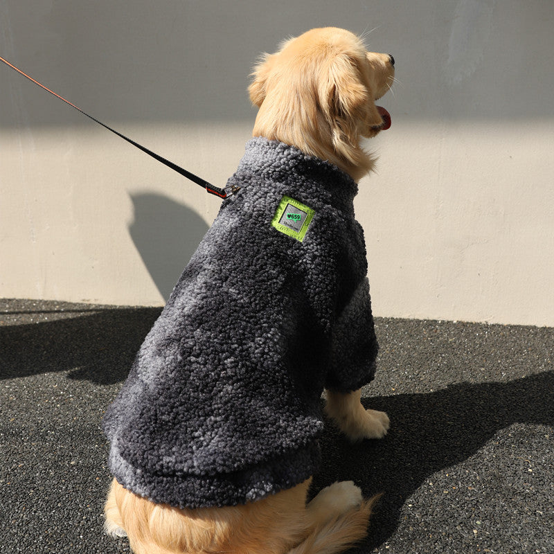Labrador winter coat