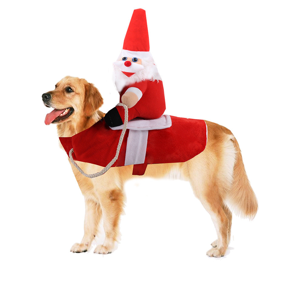 funny dog clothes horse riding outfit