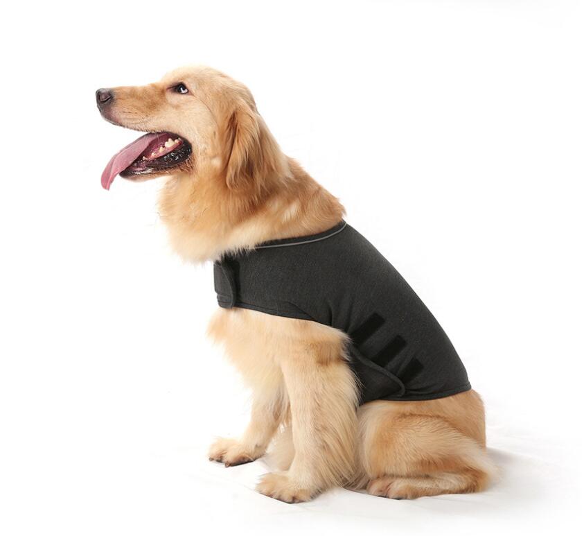 pet anxiety comfort clothing